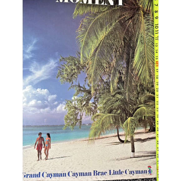 Vintage Grand Cayman Islands Travel Poster Palm Trees Sandy Beach Caribbean Sea - Picture 6 of 7